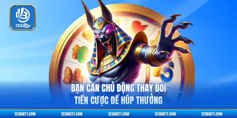 Bạn cần chủ động thay đổi tiền cược để húp thưởng